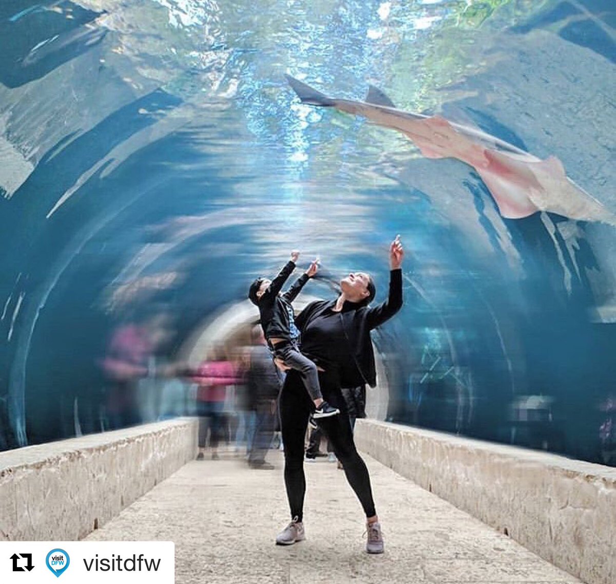 VisitaDallasTx's tweet photo. ¡Un nuevo día de visitantes felices en #visitadallas! 🐠 • 📸: @uptownmom_dallas 😎✨
•
•
#dfw #instadfw #texas_ig #texastravel #dallasbig #exploredfw #visitdfw #dfwweekend #texastodo #txroadtrip #igtexas #truetexas https://t.co/omgH6aDwbF