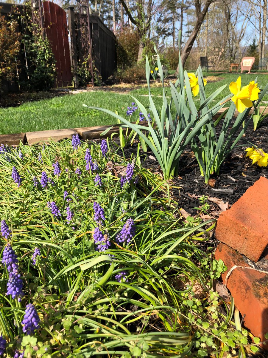 janekscott's tweet photo. Happy springtime! https://t.co/sQ5z1K9V3K