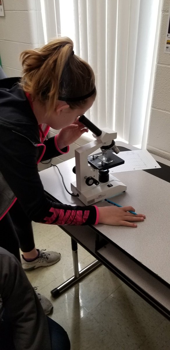 OrrickChristina's tweet photo. 6th grade looking at salt crystals under a microscope. #leetonbulldogs #LHSBulldogChallenge #MSscience https://t.co/JGVEF4cJdX