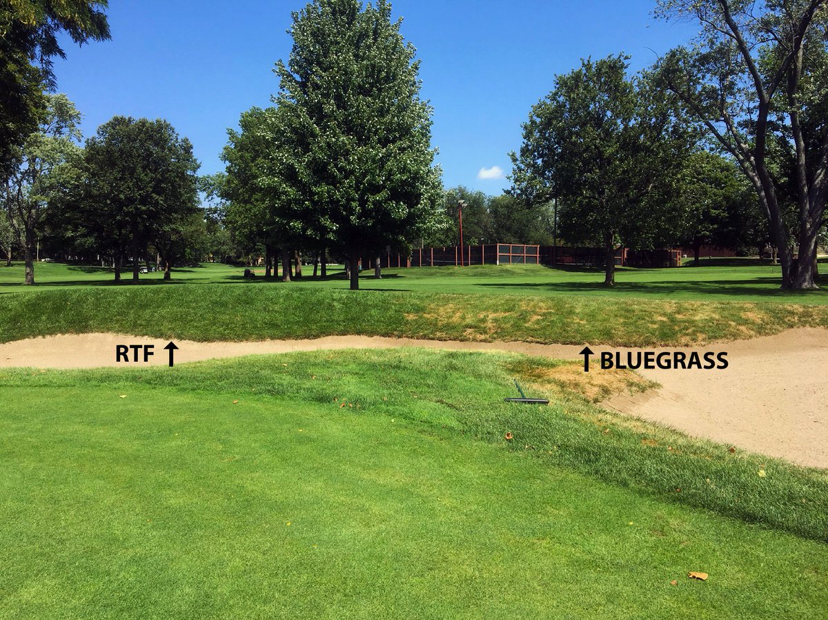 idealturf_rtf's tweet photo. Two amazing testimonials from two great customers of ours who are always a lot of fun to work with: @benrink @mowlikeachamp #champaigncountryclub #urbanacountryclub @RTF_Sod @BarenbrugUSA #rtfsod #rtfsodrules #rtfsodisntjustforfootballsoccerbaseballfields #rtfsodcandoitall https://t.co/iQkKqaEukw