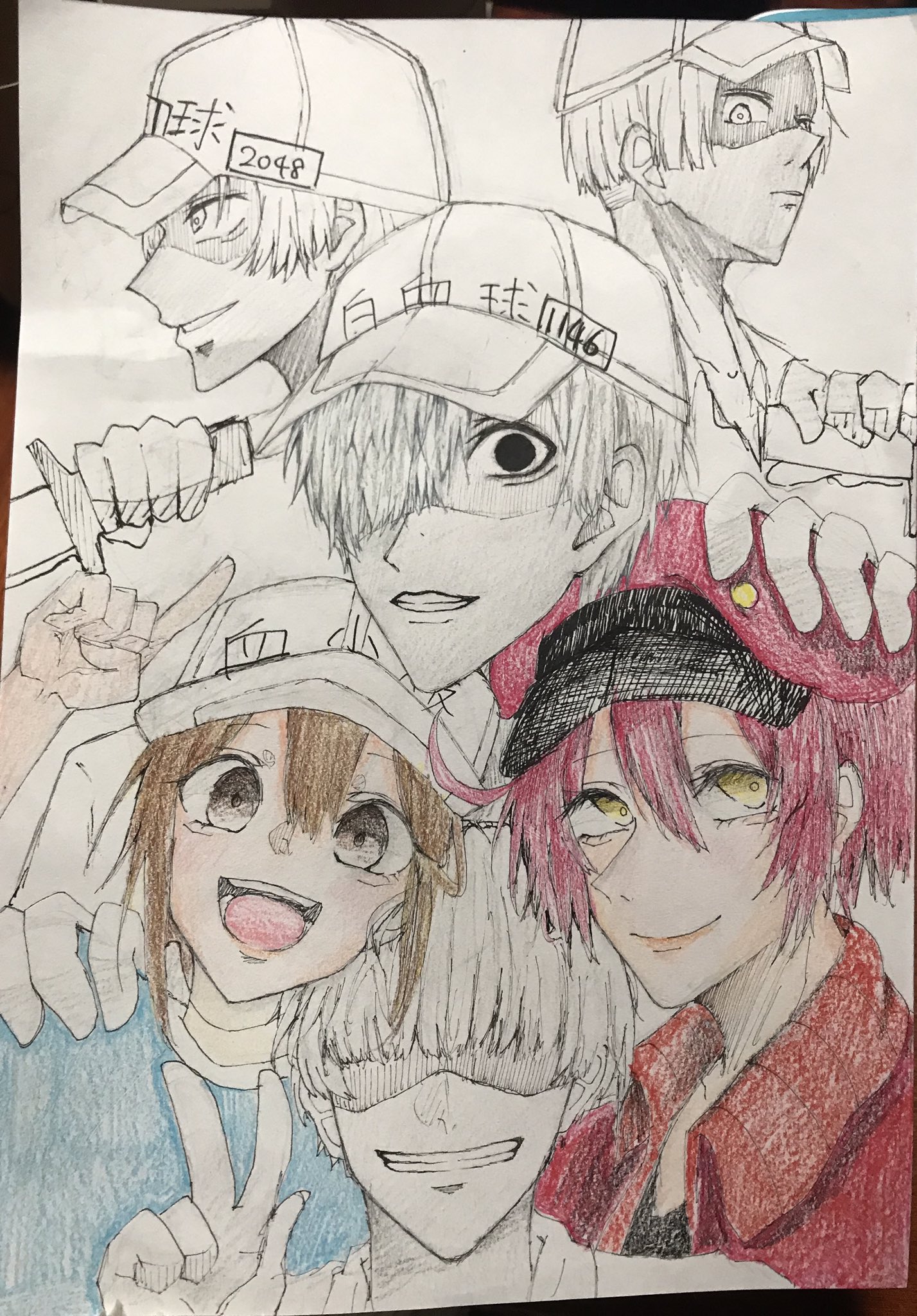 シェダル 友達にプレゼントするほぼ落書きイラストですw はたらく細胞描きましたぁ W 制作時間1時間半 イラスト はたらく細胞 血小板ちゃん 白血球さん 赤血球 ズッ友組 T Co 7ly6bwojbu Twitter