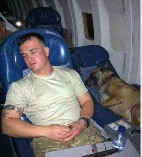 WeLoveDogsUSA's tweet photo. Two Lucky Soldiers: Headed Home from Overseas

The dog, who saved many lives, gets his own/well-deserved seat!  Please show your appreciation with a retweet 🇺🇸♥️

#WarriorDogs #BombSniffingDog #MilitaryDogs #GermanShepherd #SoldierAndHisDog #SoldierGoesHome #FridayFeeling https://t.co/JezdLr7EcH