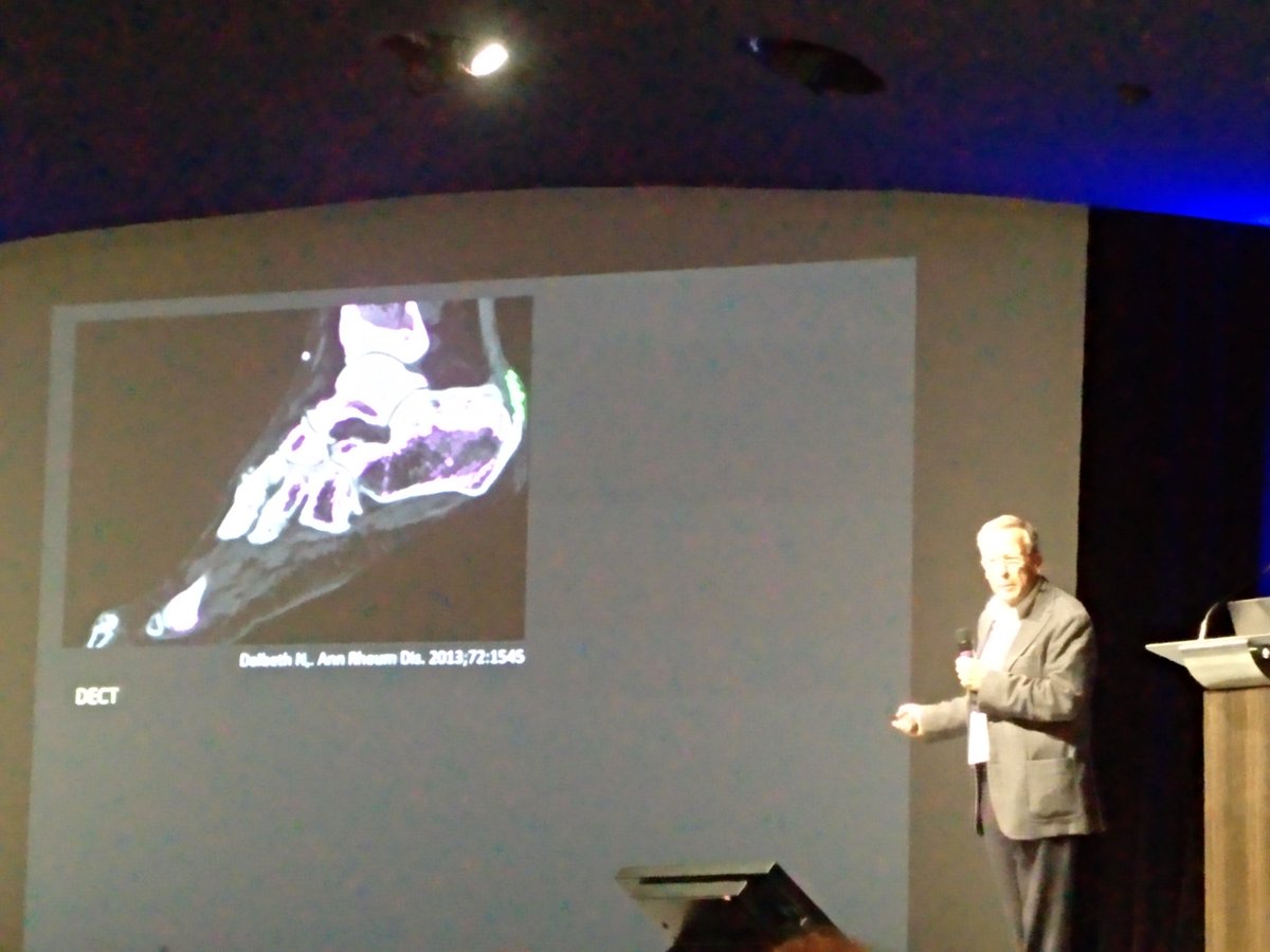 enriquecalvoA's tweet photo. El Profesor Eliseo Pascual cierra este año la décima edición del European Crystal Network con una charla llena de imágenes y mensajes interesantes
#ECN19
#Gout
#uricacid
#urate https://t.co/kWFThvdAal
