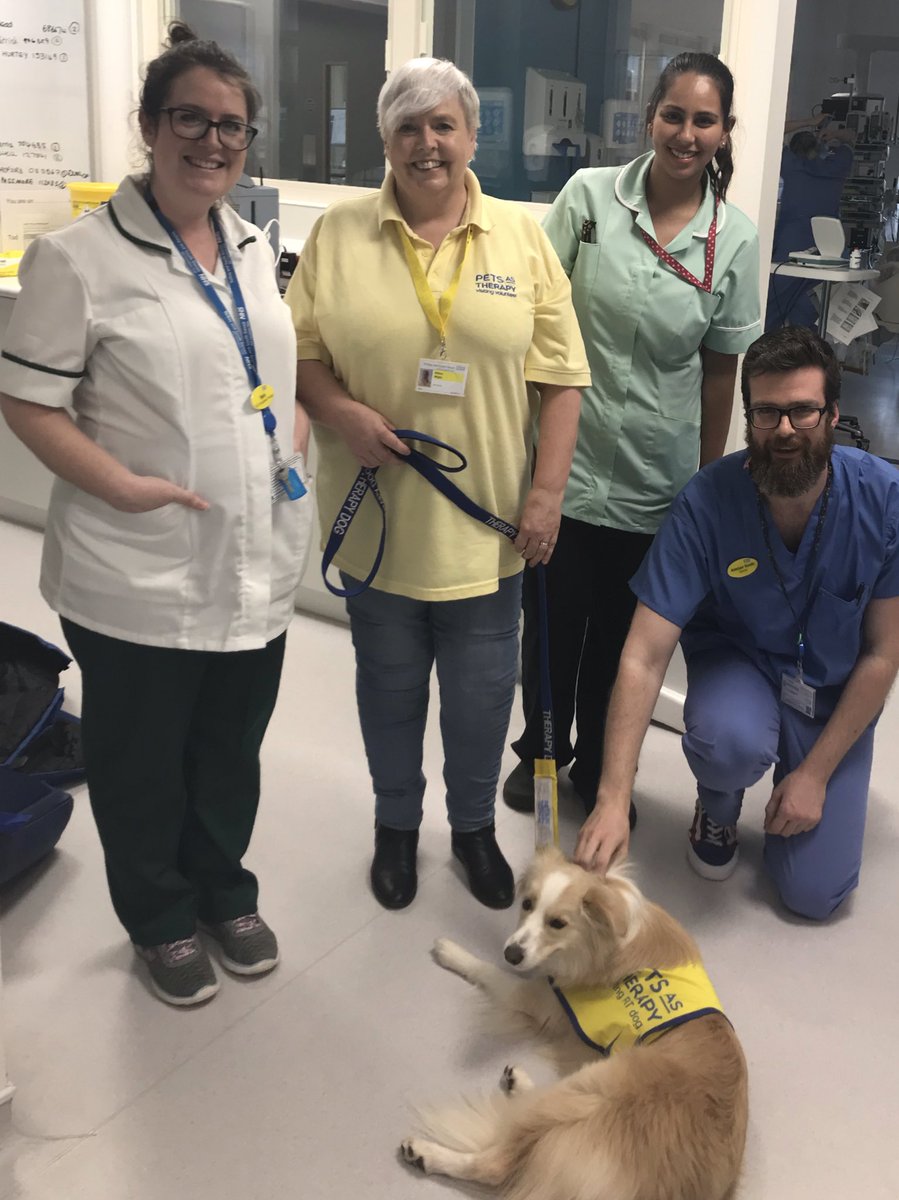 βΏββββ’ β·β‘β€ββ (@jimmibruce) on Twitter photo Month two of therapy dog on ICU and with post ICU patients. An amazing response. Thank you ICU colleagues for the encouragement to do this. <a href="/PetsAsTherapyUK/">Pets As Therapy</a> <a href="/ICS_updates/">Intensive Care Society π</a> <a href="/CriticalCareOT/">Critical Care Occupational Therapist</a> <a href="/CritTorbay/">Torbay Critical Care</a> Month two of therapy dog on ICU and with post ICU patients. An amazing response. Thank you ICU colleagues for the encouragement to do this. <a href="/PetsAsTherapyUK/">Pets As Therapy</a> <a href="/ICS_updates/">Intensive Care Society π</a> <a href="/CriticalCareOT/">Critical Care Occupational Therapist</a> <a href="/CritTorbay/">Torbay Critical Care</a>