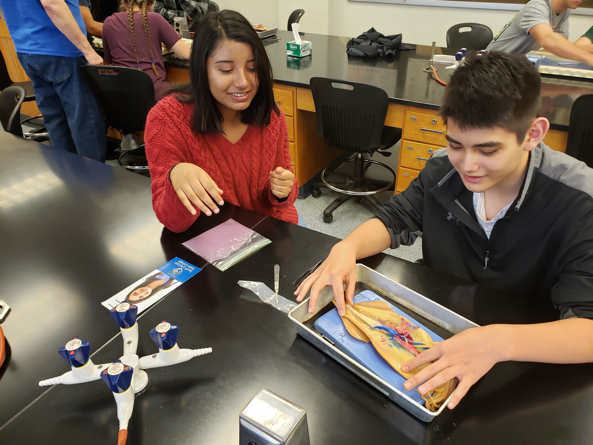 aaronharwood8's tweet photo. Calimari anyone? #WareCountyHigh students dissecting squid during the @southGAstate STEM Day. @apcoker @PrincipalBert @MillieP38292829 https://t.co/narfAWBcfF