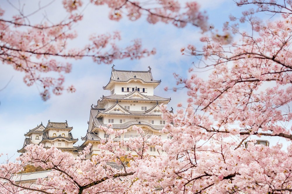 The cherry blossom festival in Japan is a bucket-list experience like no other! Get the lowdown on when to go, best places to visit and where to stay: goo.gl/PMZMiA
#cherryblossomfestival #sakura #japan #travel #traveltips #tripofalifetime #enchantingtravels