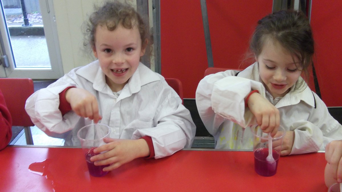 Great to visit Wistow C of E Primary School earlier this week. The children tested substances using red cabbage chemical indicator, made potato batteries light up LEDs and I did a short talk on fusion (including some plasma demonstrations).