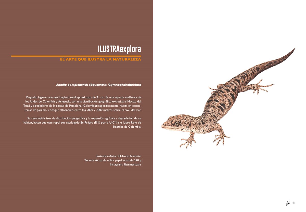 Explora_ABD's tweet photo. #EXPLORA #ExploraMagazine
#IlustraExplora EL ARTE QUE ILUSTRA LA NATURALEZA
Edición Nro 04 de revista EXPLORA
Ilustración por Orlando Armesto @Armesto24
#ConocerEsConservar https://t.co/LkfhpugUZz