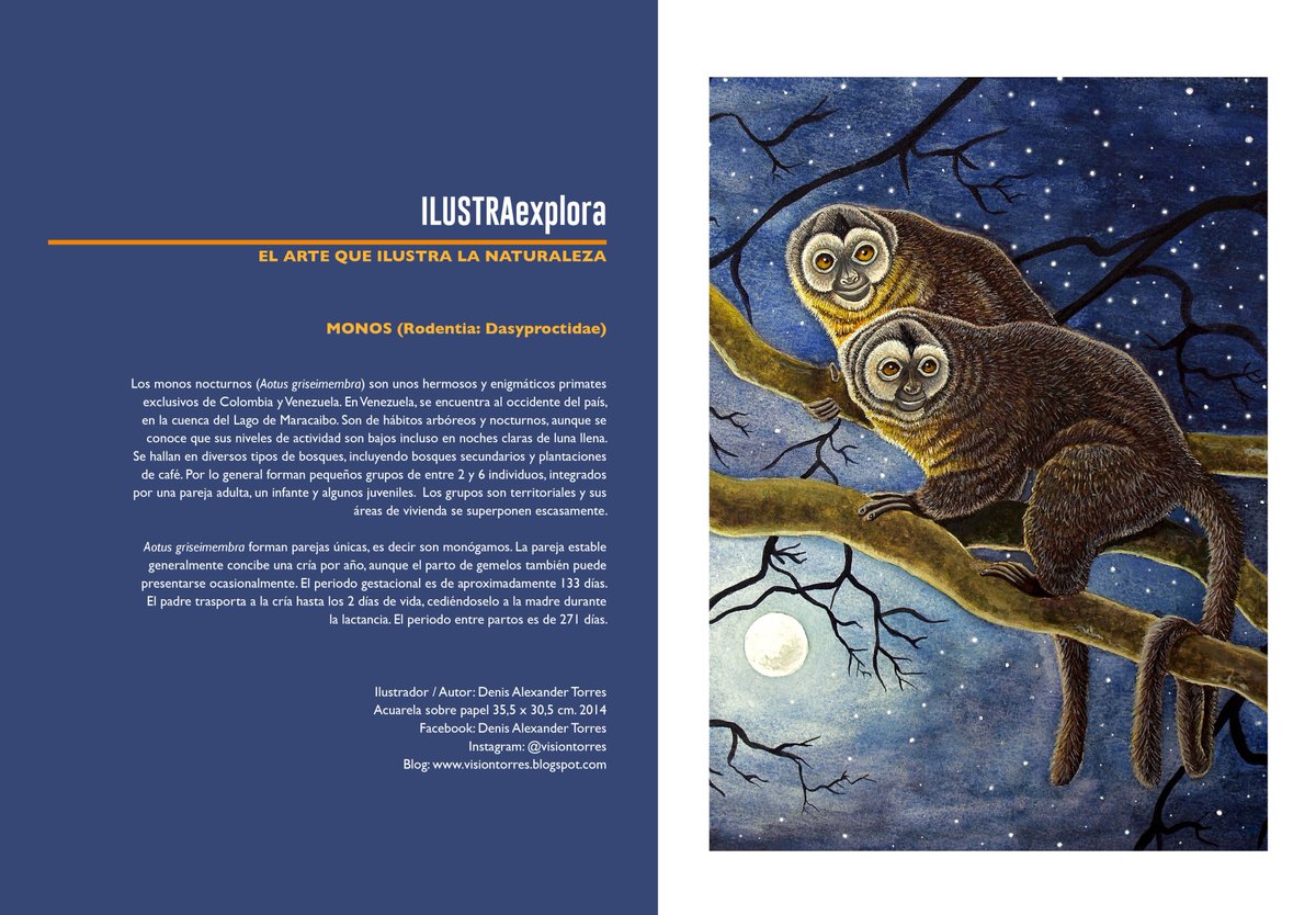 Explora_ABD's tweet photo. #EXPLORA #ExploraMagazine
#IlustraExplora EL ARTE QUE ILUSTRA LA NATURALEZA
Edición Nro 04 de revista EXPLORA
Ilustración por Denis A. Torres @visiontorres2
#ConocerEsConservar https://t.co/zxwWmHxSsk
