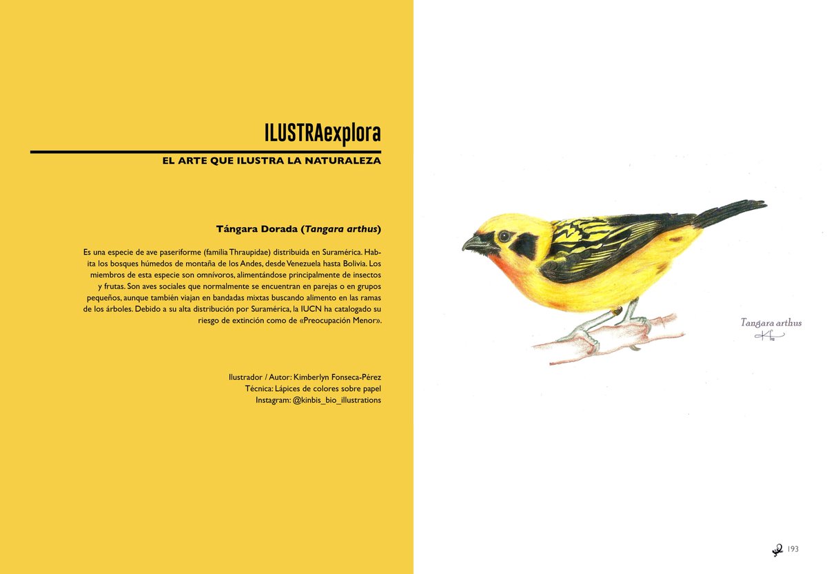 Explora_ABD's tweet photo. #EXPLORA #ExploraMagazine
#IlustraExplora EL ARTE QUE ILUSTRA LA NATURALEZA
Edición Nro 04 de revista EXPLORA
Ilustración por Kimberlyn Fonseca @Kimbe415
#ConocerEsConservar https://t.co/q8I25dxUB2