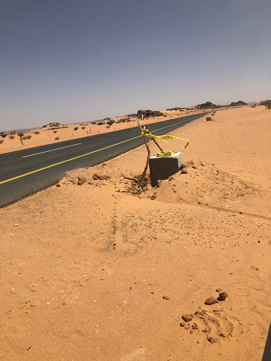 Alriefaa's tweet photo. تم بفضل الله ثم جهود بلدية محافظة يدمه البدء في مشروع إنارة هجرة الرفاع.

كما نأمل المزيد فيما يخدم الأهالي والمصلحة العامة 

@mun_yadamah https://t.co/egXAMRzQjN