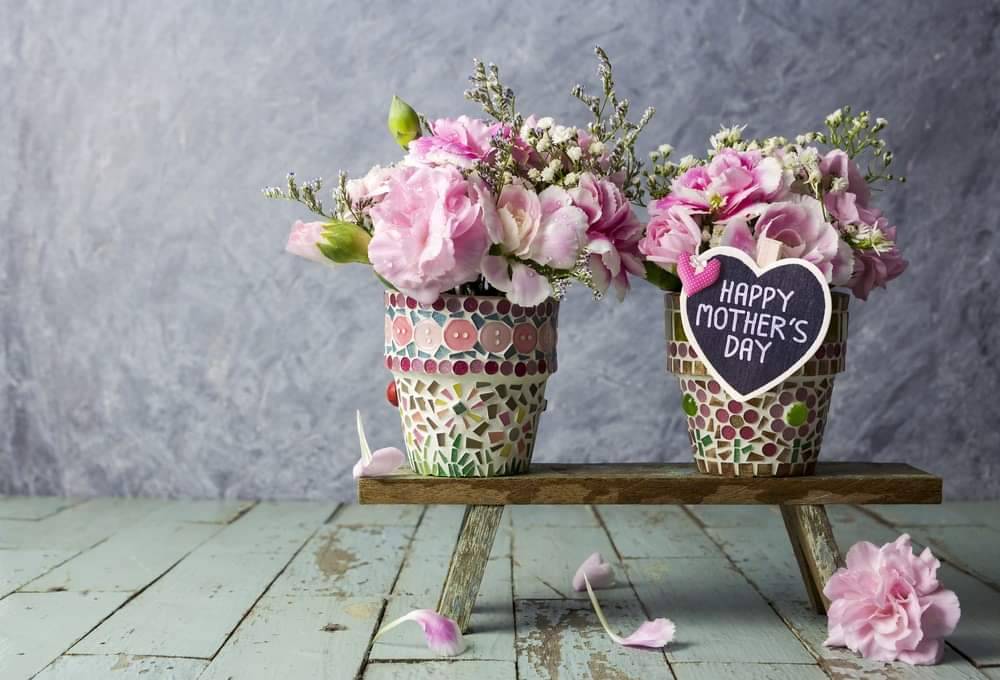 Willows Flowers (@flowerswillows) on Twitter photo 