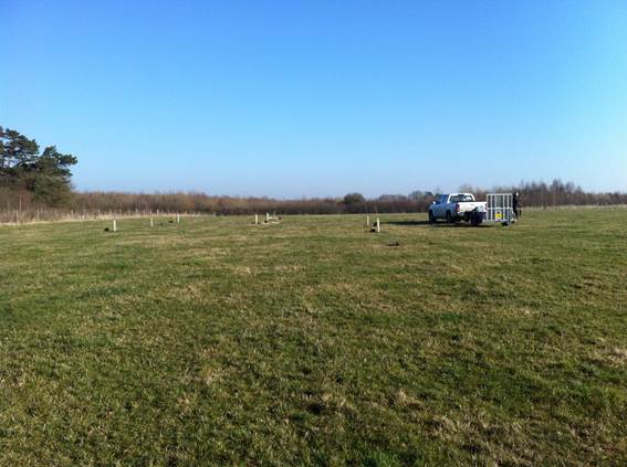WTJohnTucker's tweet photo. Great to be working with #futuretreetrust on creating a new oak seed orchard at a #woodlandtrust site in the National Forest https://t.co/aeaiXKhD51