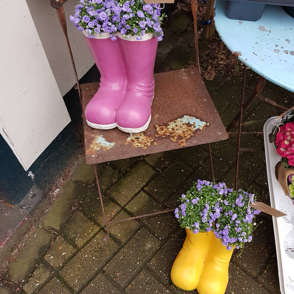 Wellie planters just so cute #wellieplanter #wellies #plants #mothersday #flowersreigate