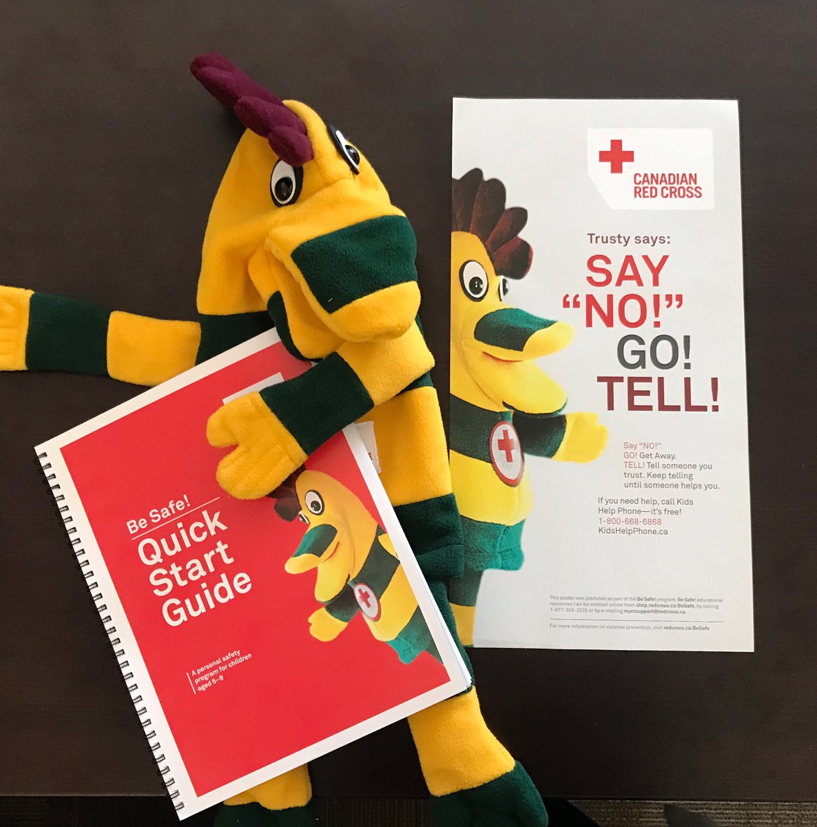Lots of learning yesterday with @RedCrossSK. Looking forward to sharing this great resource with <a href="/PrairieSouth/">Prairie South</a> teachers!