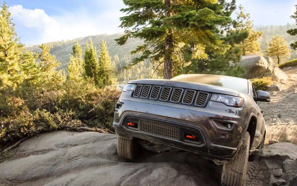 CDJRFreeland's tweet photo. Every terrain is fair game. #JeepLife https://t.co/3f3EjuayNm