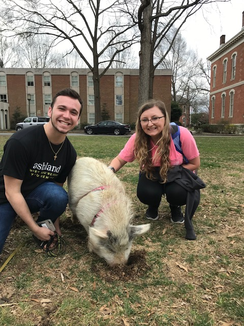 RandolphMacon's tweet image. TODAY until 4 p.m.: Come to the Petting Zoo at Mary Branch Circle! Thank you, @RMCCAB, for hosting this fun, furry activity! @RMCOSL