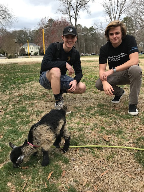 RandolphMacon's tweet image. TODAY until 4 p.m.: Come to the Petting Zoo at Mary Branch Circle! Thank you, @RMCCAB, for hosting this fun, furry activity! @RMCOSL