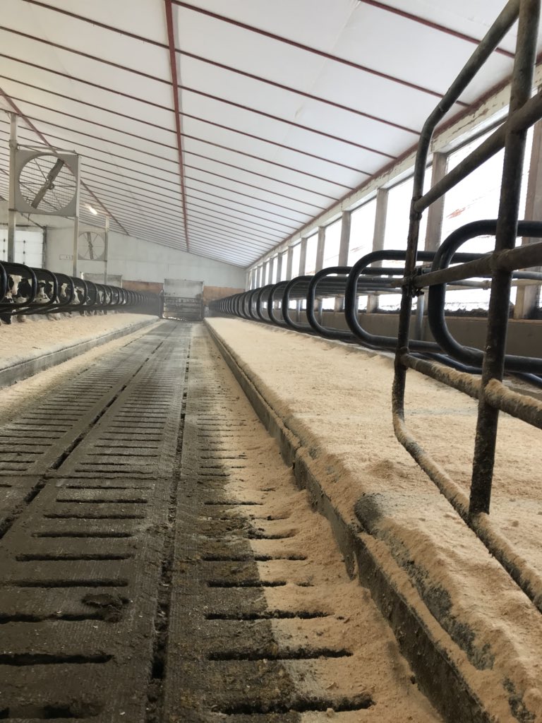 PerryLos3's tweet image. Fridays are for bedding! #weekendready