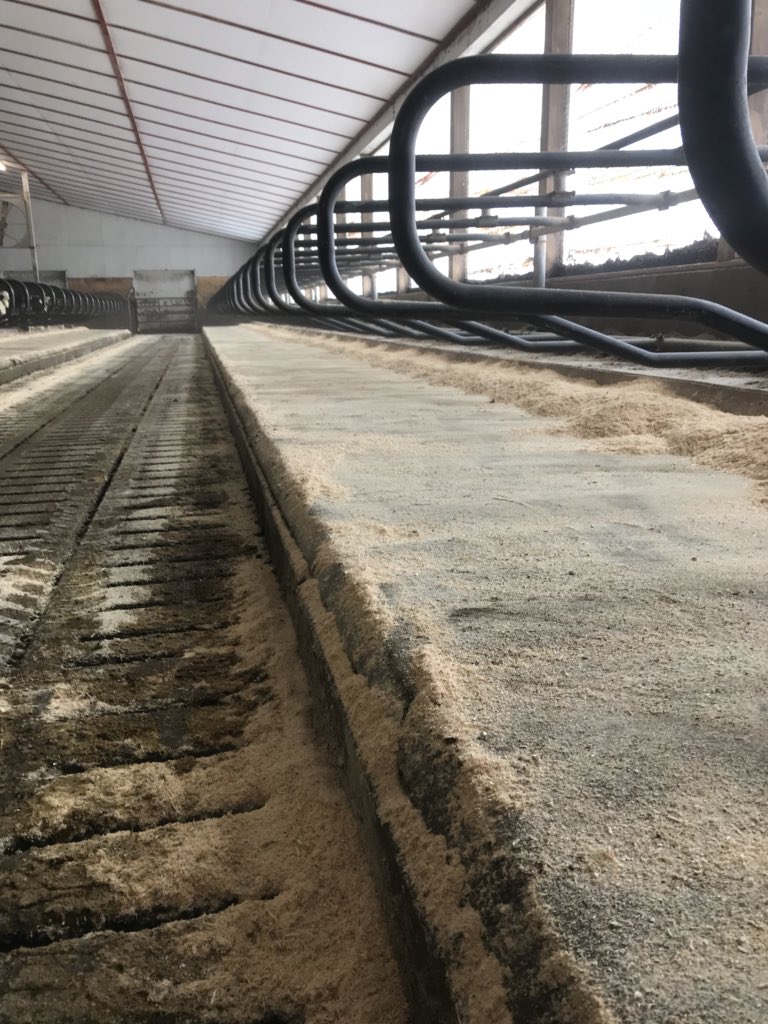 PerryLos3's tweet image. Fridays are for bedding! #weekendready