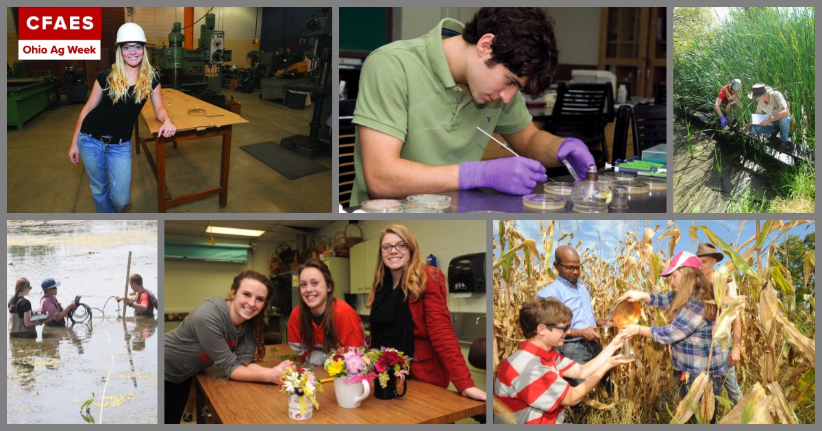 CFAES_OSU's tweet image. Consider a career in the food, agricultural, and environmental fields, where an estimated 22,500 high-skilled jobs go unfilled each year. Hint: We know a great place where you can get the skills you need to get started! cfaes.osu.edu #OhioAgWeek @cathannkress