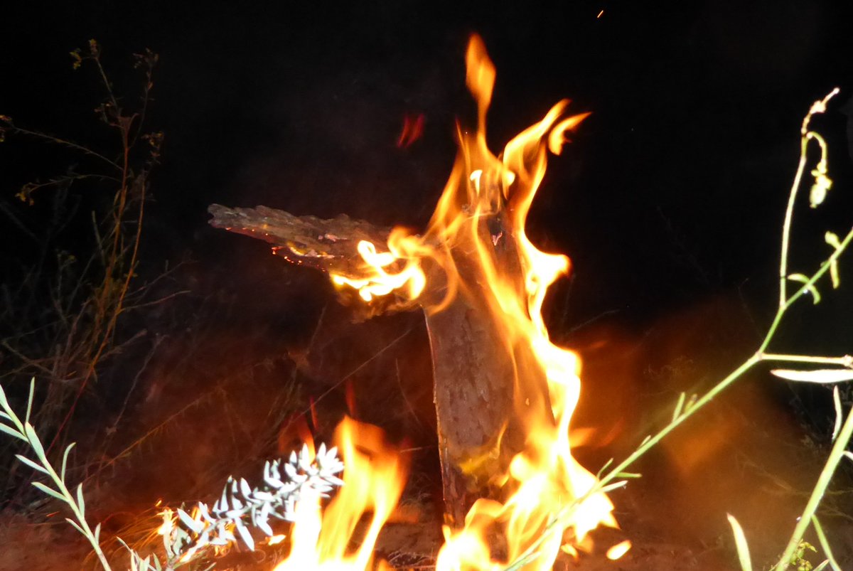 SKORO_TM's tweet photo. Sometimes in the campfire you can see unexpected things that are limited only by your imagination... #outdoor #getoutside #camping #hiking #OptOutside #outdoors #wilderness #getoutdoors #outdoorlife https://t.co/W1kTEdrV53