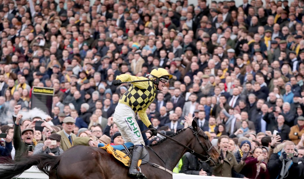 NavanRacecourse's tweet image. AL BOUM PHOTO wins the Gold Cup 🏆 

He started off his chasing career at Navan in November 2017 when winning the @IrishEBF_ Beginners Chase by 7 lengths. 

Massive congratulations to @PTownend &amp;amp; @WillieMullinsNH on landing their first Gold Cup win. 

#NavanForm #GreenCorner ☘️🇮🇪