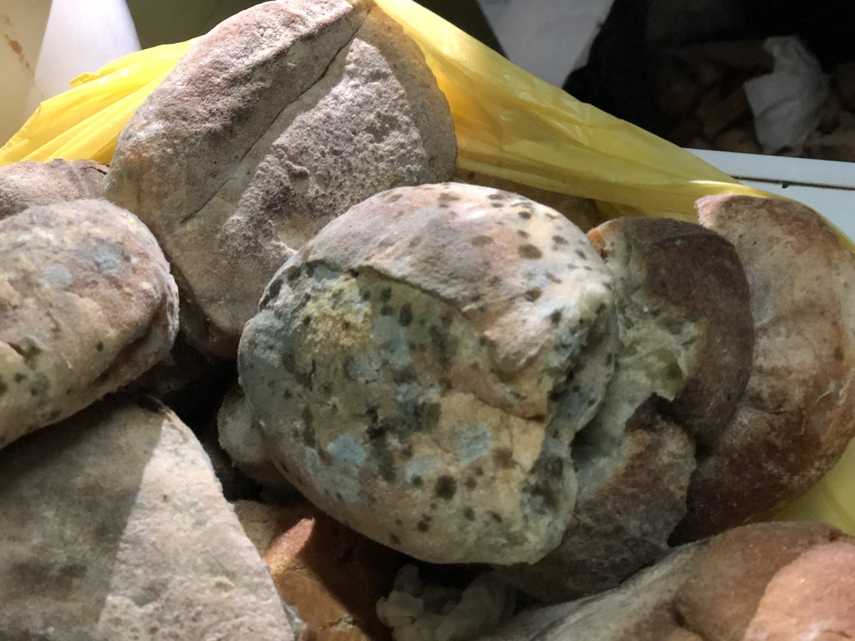 LaPazAlcaldia's tweet photo. #Ahora #Operativo La #IntendenciaLP realiza un operativo en restaurantes y actividades económicas del centro paceño y, preliminarmente, se encontró vectores (ratones, chulupis), y heces de vectores y decomisaron utensilios y más de 100 kilos de alimento en mal estado. https://t.co/109VBoHIvy