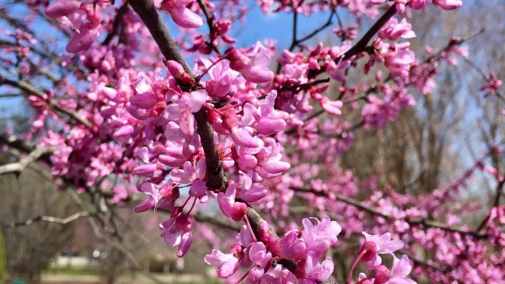 SignatureHomes tweet media