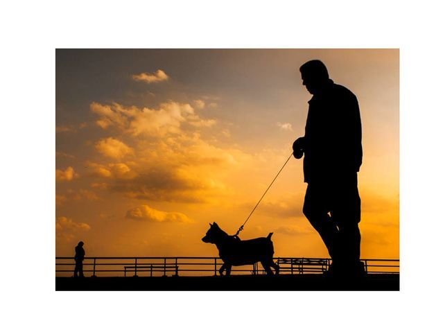 Pearls_Choice's tweet photo. Are seniors, dogs, leashes and gravity a dangerous mix for elderly adults overall health?
https://t.co/7H9p47Ukhn https://t.co/HjKIaQFUwy