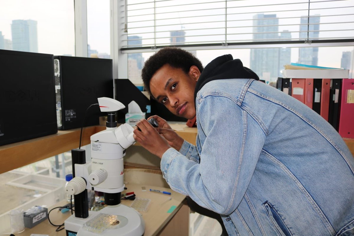 Step into STEM tweet media