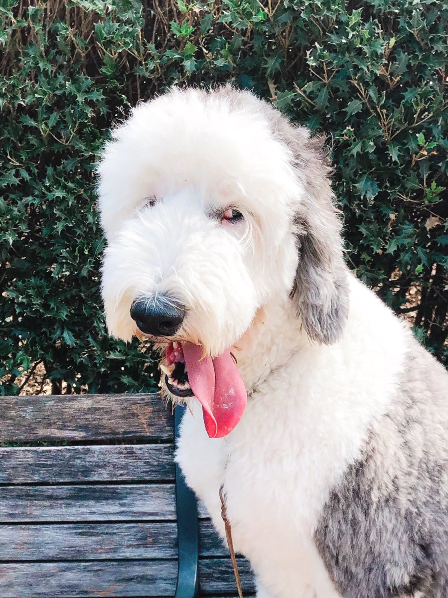 otis unleashed tweet media