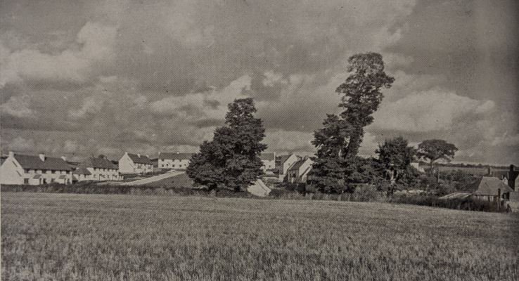 Houses well sited in open landscape, Blandford RDC (Dorset) 4/7