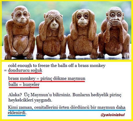 Seçim zamanı... Havalar pek soğuk... Dördüncü maymun...
#ingilizce #idioms #deyim