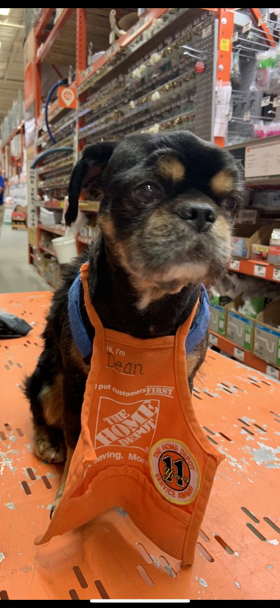 New transfer from Baltimore, 11 year associate, say Hi to Dean! Let’s give him some tweets!!