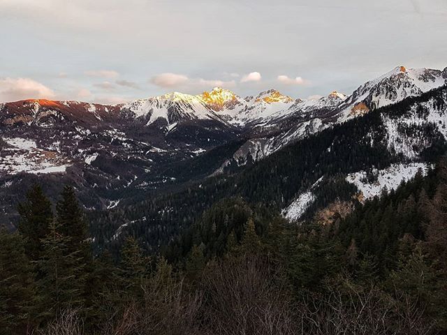 Jeremyvinec's tweet photo. A little sunset in the forest of Boscodon 🌄
.
.
.
#sunset #sunsets #forest #forests #mountain #mountains #mountainlife #hautesalpes #05 @myhautesalpes https://t.co/joMC4DJ7B8 https://t.co/mMN2KXnwXw