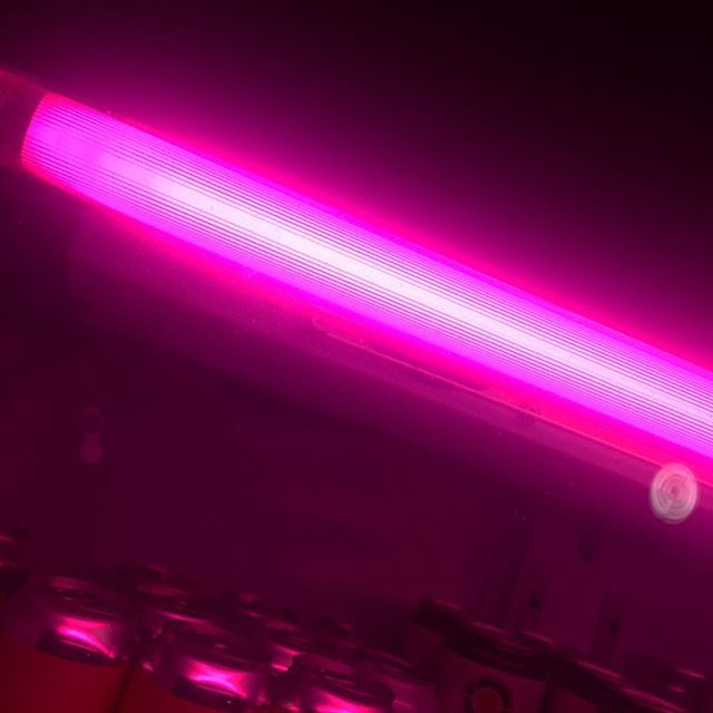 Open until 2am 😈 ift.tt/2HmESCb