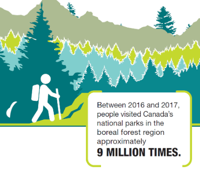 Have you ever imagined what the world would be like without trees? The benefits of trees extend beyond their beauty. 

#Grizzlyply #Forests #Canada #Plywood #Wood #Trees #Benefits #Plantatree 

Learn more buff.ly/2TbivBc