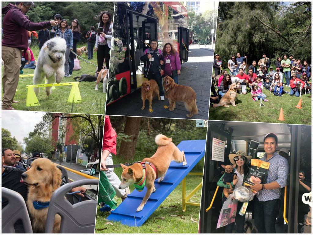 lindo_kiwi's tweet photo. Amigos tienen hoy a más tardar mañana para hacer sus reservaciones de #turipet #CDMX yo perronalmente les doy información y los agendo. Ayúdenme a difundir ya que es mi forma de colaborar económicamente a mi familia y ya pronto me toca mi vacuna. https://t.co/2RCIlr5C8x
