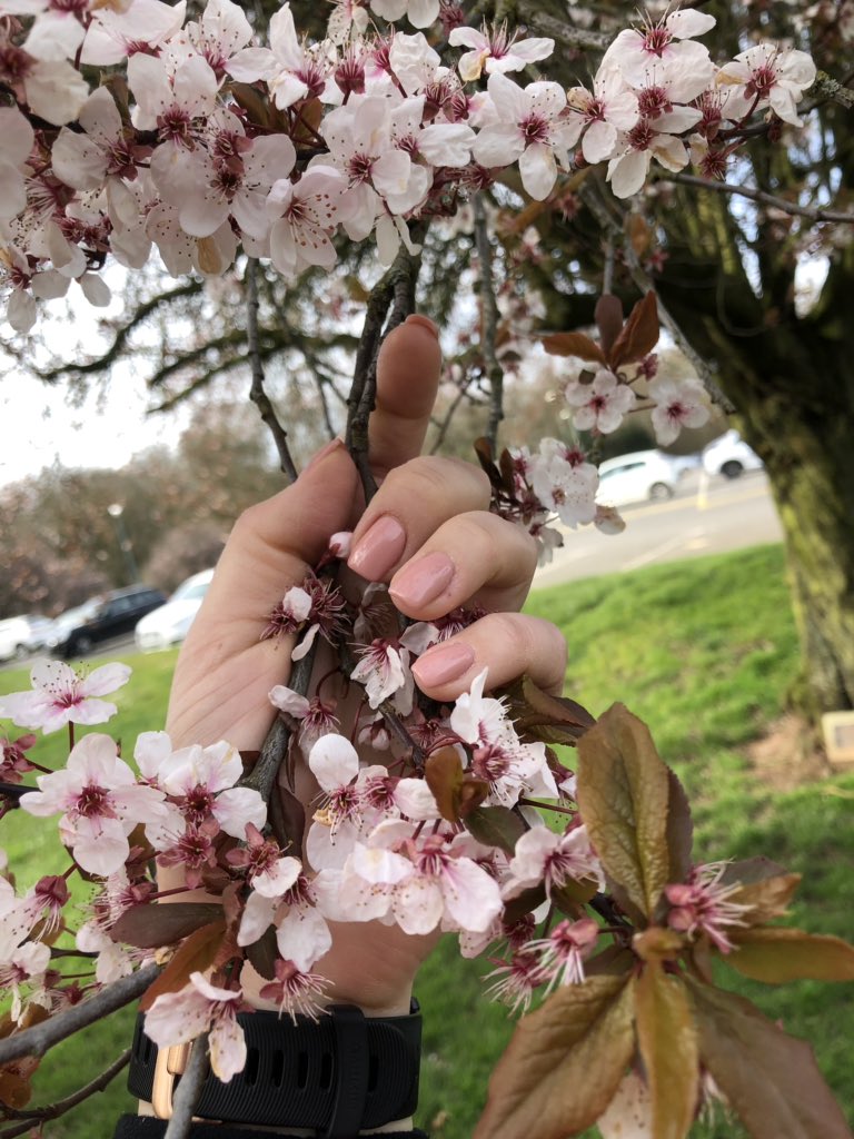 Running in spring time is just so pretty #newbeginnings #happyrunning #positivefeelings 🌸💕🏃🏻‍♀️