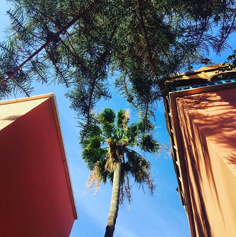ShakaSurfMoroc's tweet photo. M O R N I N G
L I G H T
#morocco #blueskies #moroccanpinks #riad #surfriad #surfholidays #nature #palms #surfaccommodation #surfholiday #surfschool #surfcamp #moroccanstyle #traditionalriad #explore #roam https://t.co/KNFCaQ5vge