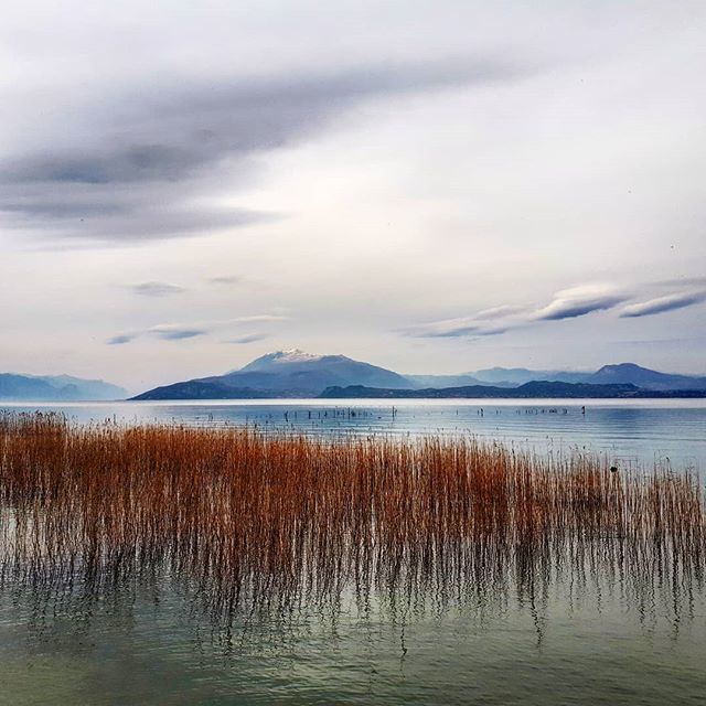 tempodeviajar's tweet photo. Adoro lagos. E Itália tem sido muito generosa nesse aspecto... 🙂
#eurotrip #italia #lagodigarda #iatipelomundo #vanlife https://t.co/B01IyqVrbT https://t.co/jHV9N6sJV4