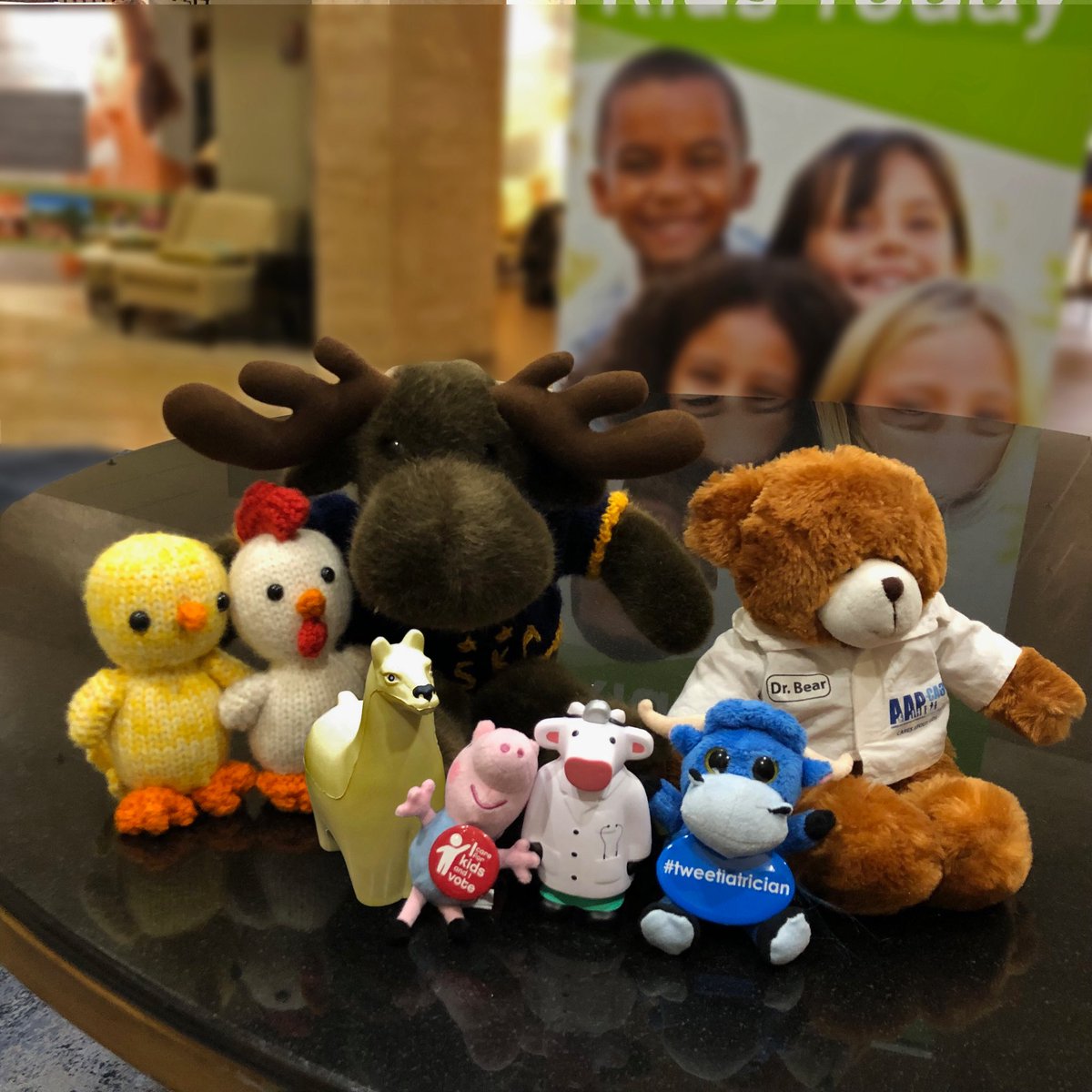 AAPAlaska's tweet photo. Chapter mascots gather at ALF 2019 to remind us that pediatricians learning and leading together is fun!  #AAPLeads!  @PPAPSNHPP https://t.co/qsM8qMep7e