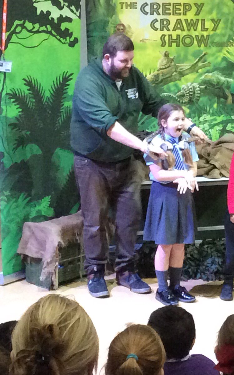 OLI Primary School tweet media