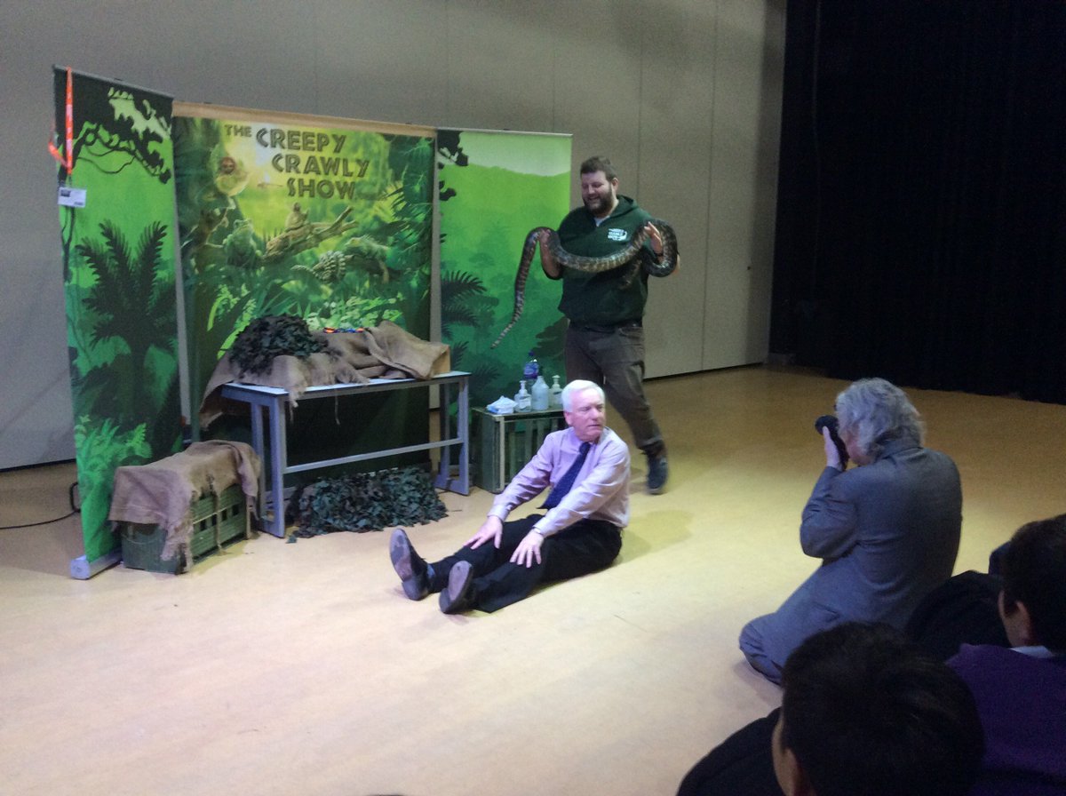 OLI Primary School tweet media