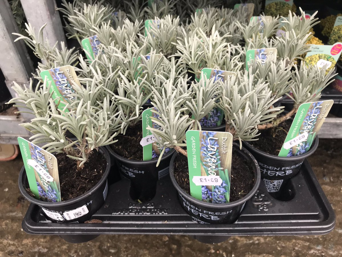 Bradlands Pet Supplies (BradlandsS) Twitter