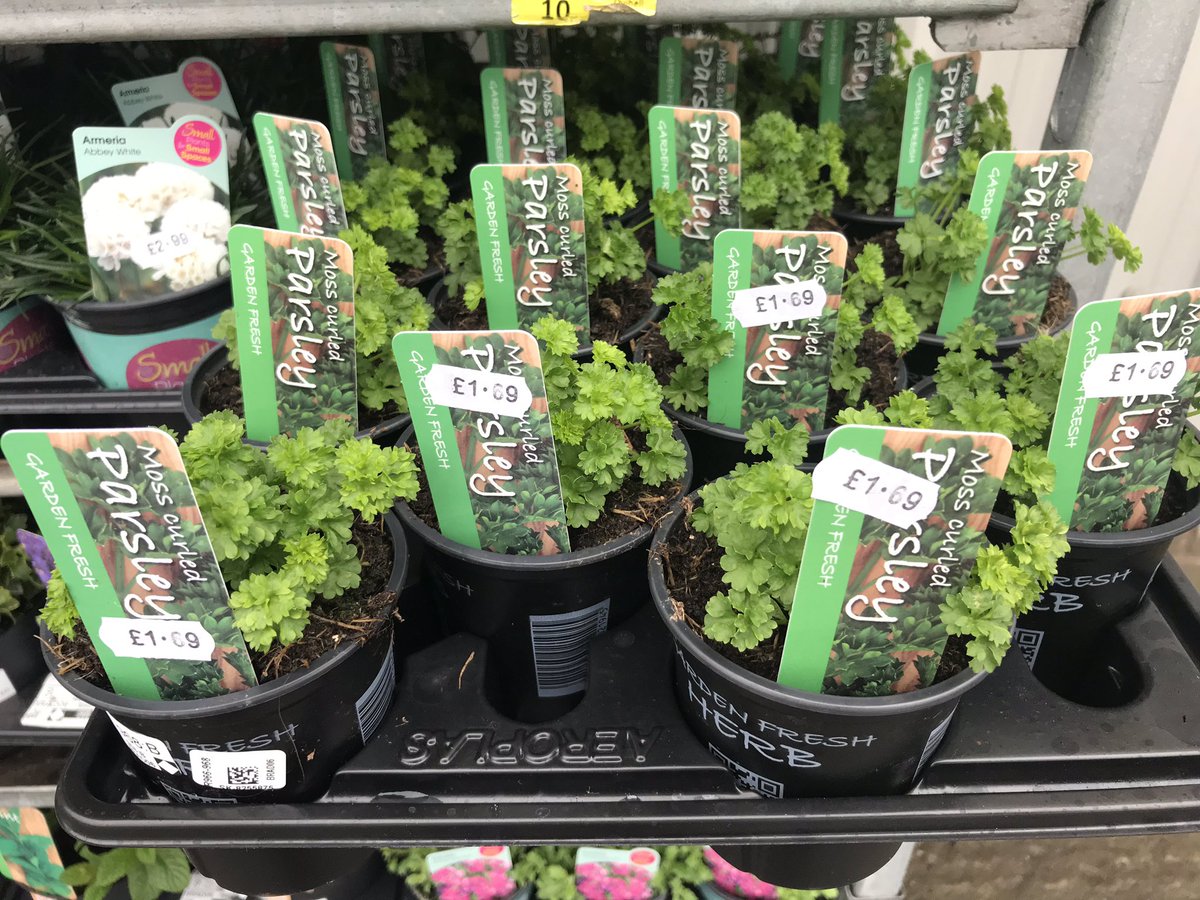 Bradlands Pet Supplies (BradlandsS) Twitter