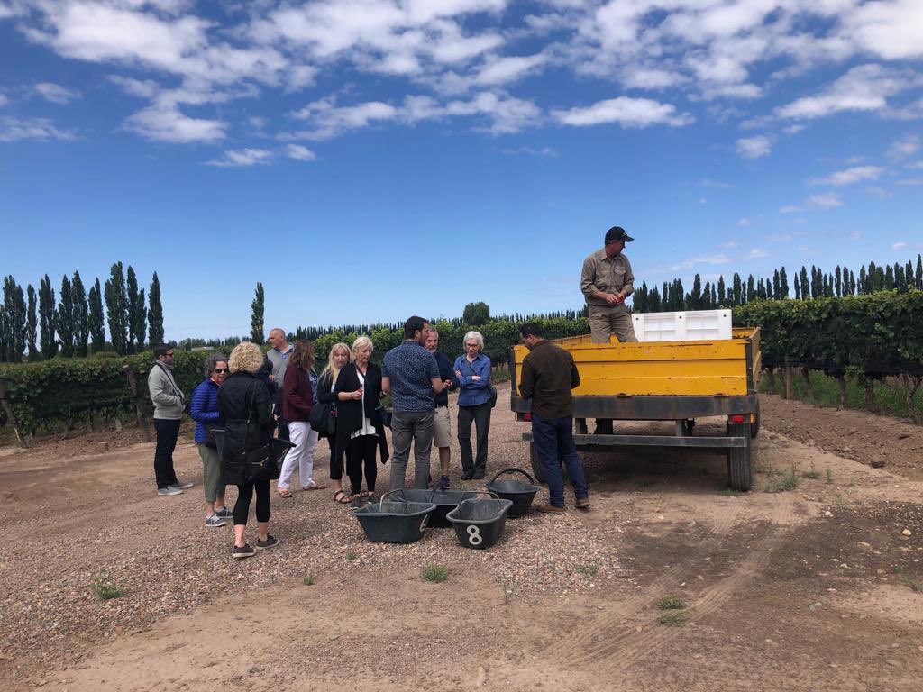 DuriguttiWines's tweet photo. Thanks to the entire group of North Caroline for visiting us at Finca Victoria this morning. Full harvesting!
@elixirwinegrp 
@TheWineFeed 

#Durigutti #FamilyWineMakers #LasCompuertas #Mendoza #Vendimia2019 #Harvest #wineelixir #FincaVictoria #WineLovers https://t.co/Gq1KXHV7EW