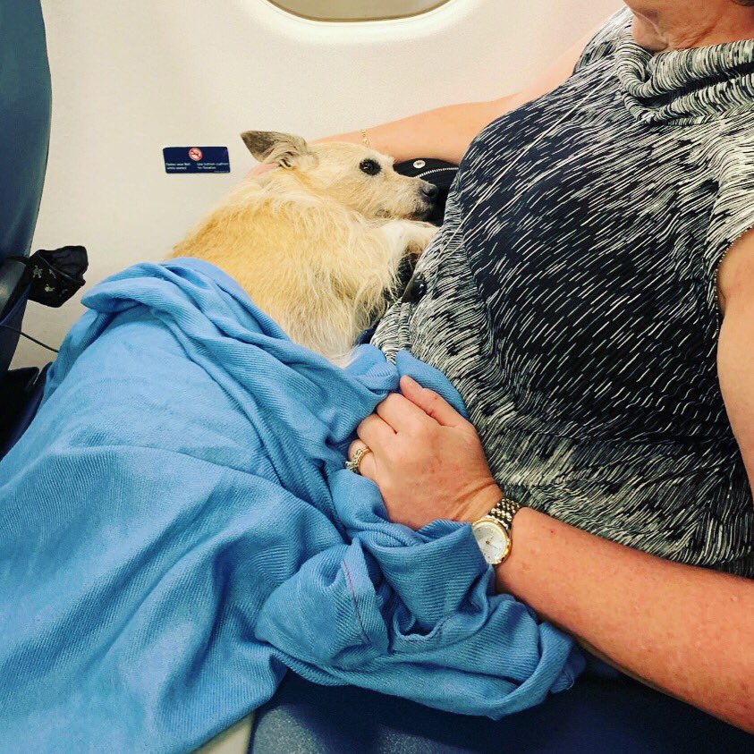 Can A Human Breastfeed A Dog