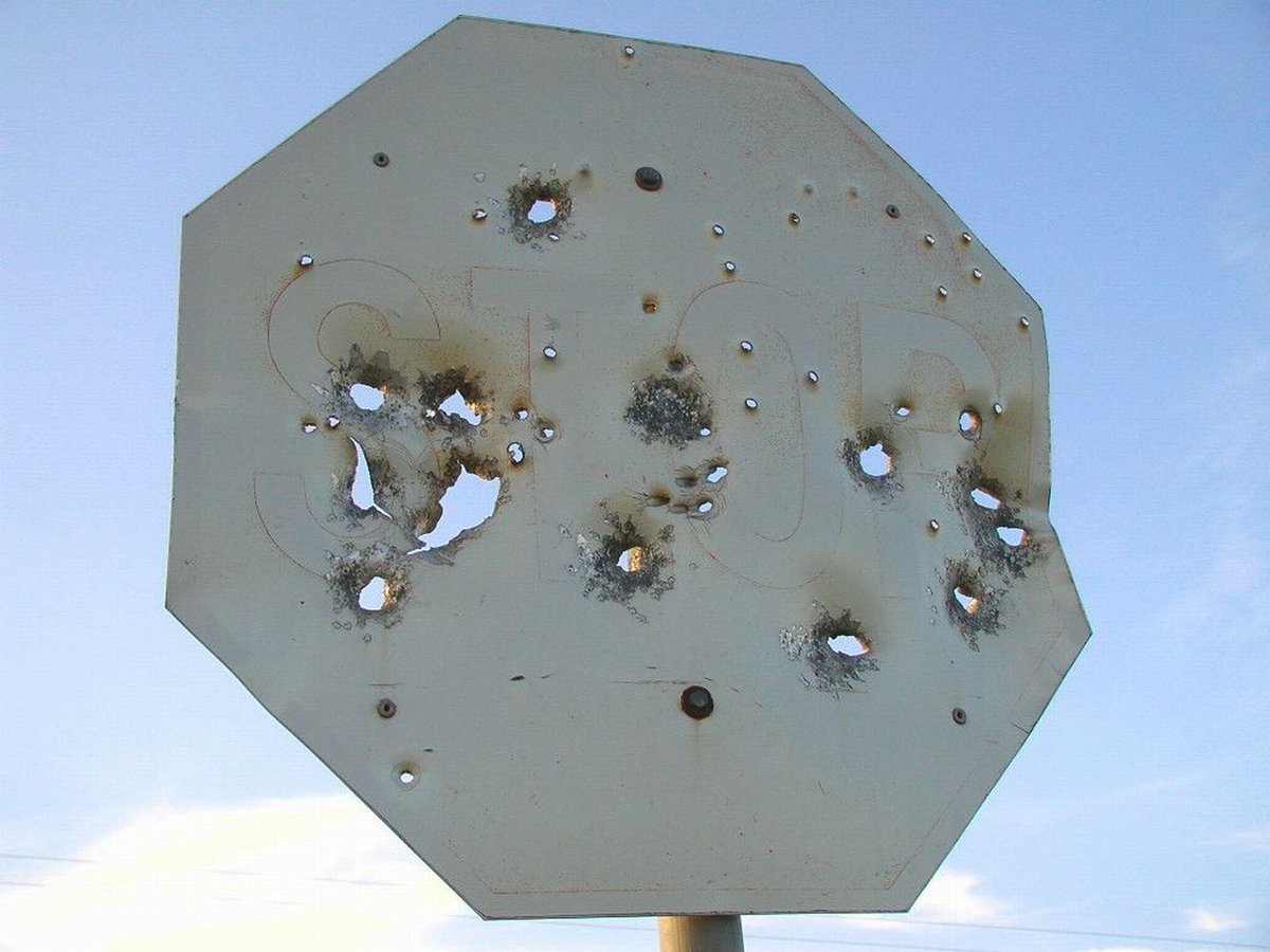 Archillect (@archillect) on Twitter photo 